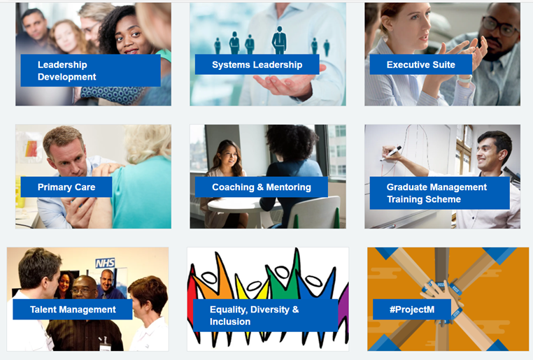 Leading Strategic Innovation in Health and Wellbeing